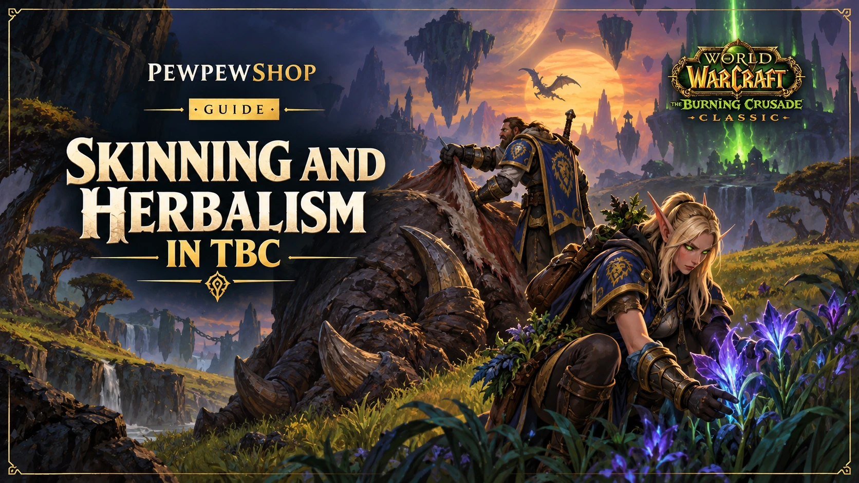 Skinning and Herbalism in TBC: The Lazy Double-Gather Gold Build — PEWPEWSHOP boosting guide