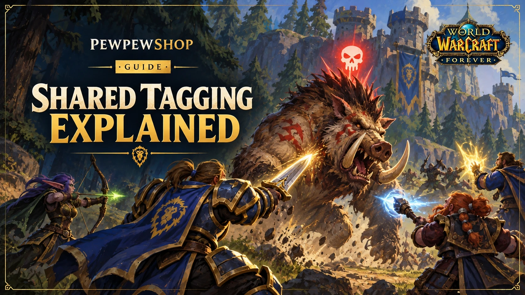 Does WoW: Forever Have Shared Tagging? No — Here's Why — PEWPEWSHOP boosting guide